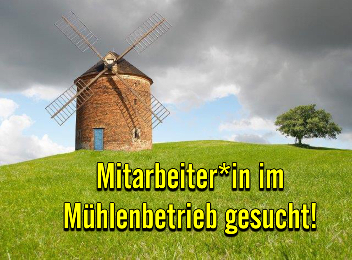 Mitarbeiter*in im Mühlenbetrieb (m/w/d)
